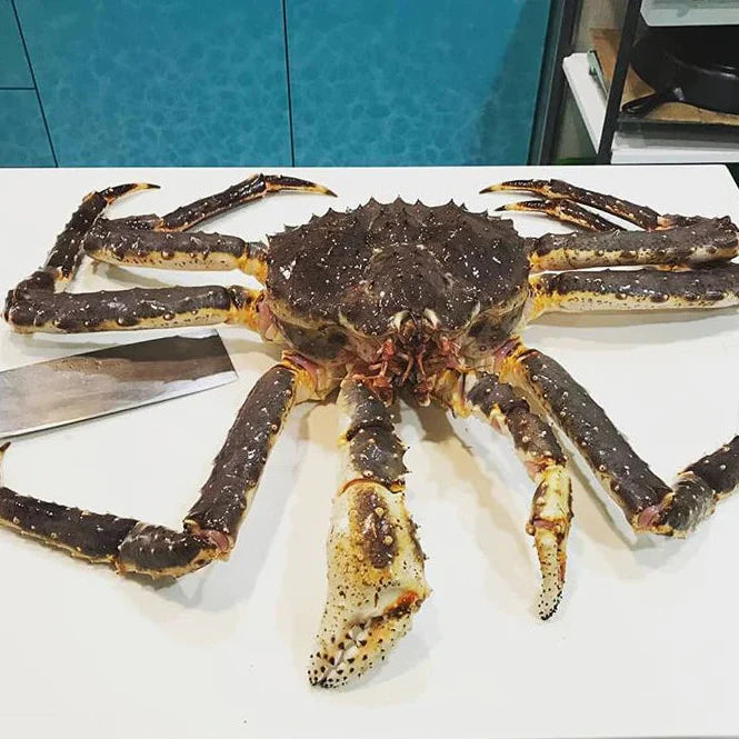 King Crab - Premium Live Seafood Delivered to Your Doorstep