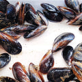 Buy Fresh Mussels Online – Sustainably Harvested and Delivered to Your Door