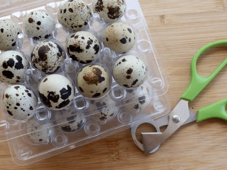 6 Dozen Farm Fresh n Tasty Organic Jumbo Quail Eggs